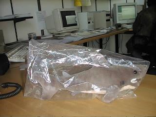 Click mich und es geht weiter!