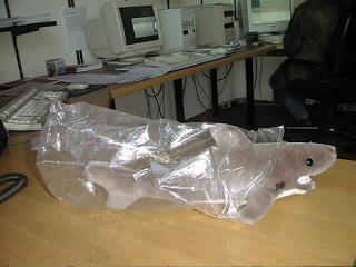 Click mich und es geht weiter!